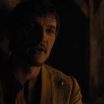 GAME_OF_THRONES_-_E4X07_MOCKINGBIRD_161.jpg