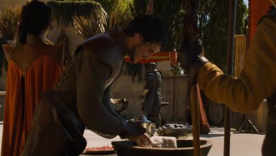 GAME_OF_THRONES_-_E4X08_THE_MOUNTAIN_AND_THE_VIPER_0086.jpg