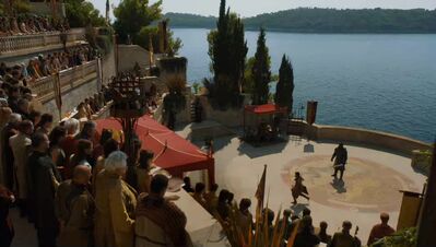 GAME_OF_THRONES_-_E4X08_THE_MOUNTAIN_AND_THE_VIPER_0206.jpg