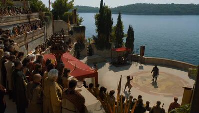 GAME_OF_THRONES_-_E4X08_THE_MOUNTAIN_AND_THE_VIPER_0209.jpg