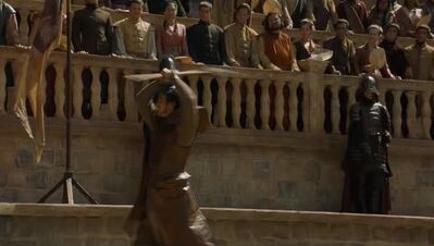 GAME_OF_THRONES_-_E4X08_THE_MOUNTAIN_AND_THE_VIPER_0219.jpg