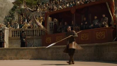 GAME_OF_THRONES_-_E4X08_THE_MOUNTAIN_AND_THE_VIPER_0223.jpg