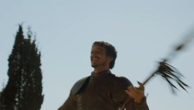 GAME_OF_THRONES_-_E4X08_THE_MOUNTAIN_AND_THE_VIPER_0227.jpg