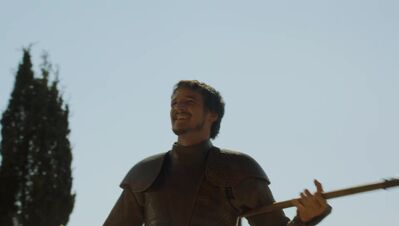 GAME_OF_THRONES_-_E4X08_THE_MOUNTAIN_AND_THE_VIPER_0228.jpg