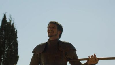 GAME_OF_THRONES_-_E4X08_THE_MOUNTAIN_AND_THE_VIPER_0229.jpg