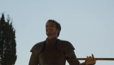 GAME_OF_THRONES_-_E4X08_THE_MOUNTAIN_AND_THE_VIPER_0230.jpg