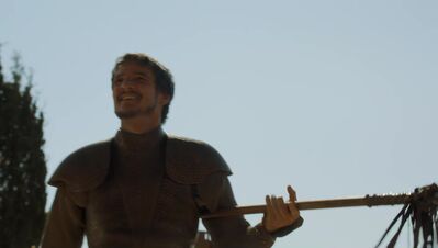 GAME_OF_THRONES_-_E4X08_THE_MOUNTAIN_AND_THE_VIPER_0233.jpg