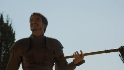 GAME_OF_THRONES_-_E4X08_THE_MOUNTAIN_AND_THE_VIPER_0234.jpg