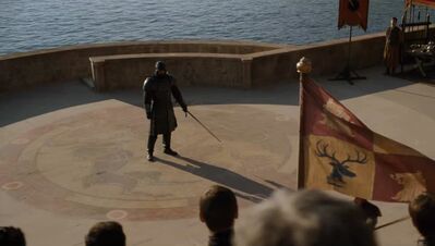 GAME_OF_THRONES_-_E4X08_THE_MOUNTAIN_AND_THE_VIPER_0246.jpg