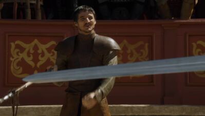 GAME_OF_THRONES_-_E4X08_THE_MOUNTAIN_AND_THE_VIPER_0263.jpg