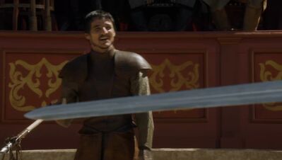 GAME_OF_THRONES_-_E4X08_THE_MOUNTAIN_AND_THE_VIPER_0264.jpg