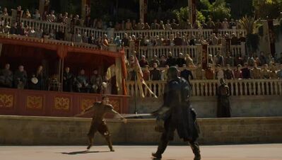 GAME_OF_THRONES_-_E4X08_THE_MOUNTAIN_AND_THE_VIPER_0273.jpg