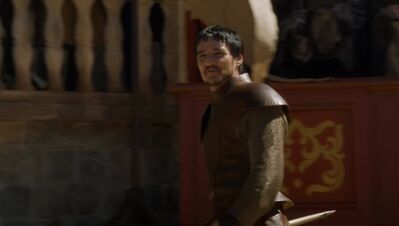 GAME_OF_THRONES_-_E4X08_THE_MOUNTAIN_AND_THE_VIPER_0288.jpg