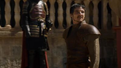 GAME_OF_THRONES_-_E4X08_THE_MOUNTAIN_AND_THE_VIPER_0294.jpg