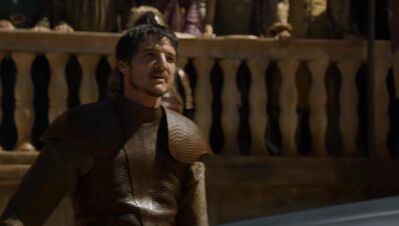 GAME_OF_THRONES_-_E4X08_THE_MOUNTAIN_AND_THE_VIPER_0301.jpg