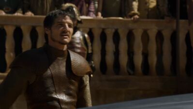 GAME_OF_THRONES_-_E4X08_THE_MOUNTAIN_AND_THE_VIPER_0302.jpg