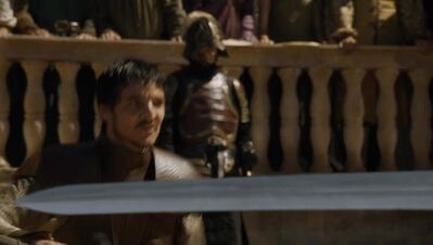 GAME_OF_THRONES_-_E4X08_THE_MOUNTAIN_AND_THE_VIPER_0310.jpg