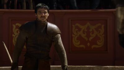 GAME_OF_THRONES_-_E4X08_THE_MOUNTAIN_AND_THE_VIPER_0336.jpg