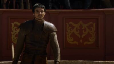 GAME_OF_THRONES_-_E4X08_THE_MOUNTAIN_AND_THE_VIPER_0337.jpg
