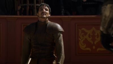 GAME_OF_THRONES_-_E4X08_THE_MOUNTAIN_AND_THE_VIPER_0348.jpg