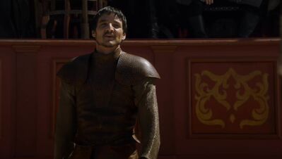 GAME_OF_THRONES_-_E4X08_THE_MOUNTAIN_AND_THE_VIPER_0349.jpg