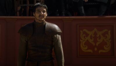 GAME_OF_THRONES_-_E4X08_THE_MOUNTAIN_AND_THE_VIPER_0351.jpg