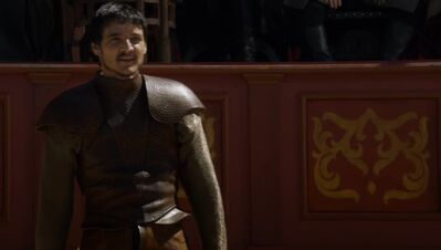 GAME_OF_THRONES_-_E4X08_THE_MOUNTAIN_AND_THE_VIPER_0353.jpg