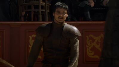 GAME_OF_THRONES_-_E4X08_THE_MOUNTAIN_AND_THE_VIPER_0361.jpg