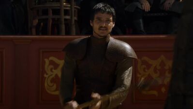 GAME_OF_THRONES_-_E4X08_THE_MOUNTAIN_AND_THE_VIPER_0362.jpg
