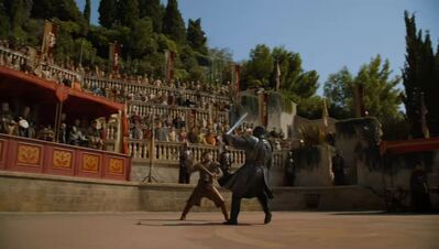 GAME_OF_THRONES_-_E4X08_THE_MOUNTAIN_AND_THE_VIPER_0365.jpg