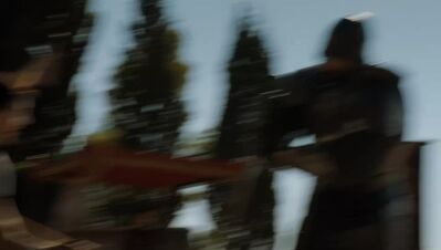 GAME_OF_THRONES_-_E4X08_THE_MOUNTAIN_AND_THE_VIPER_0376.jpg