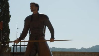GAME_OF_THRONES_-_E4X08_THE_MOUNTAIN_AND_THE_VIPER_0396.jpg