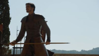 GAME_OF_THRONES_-_E4X08_THE_MOUNTAIN_AND_THE_VIPER_0397.jpg