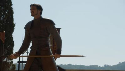 GAME_OF_THRONES_-_E4X08_THE_MOUNTAIN_AND_THE_VIPER_0398.jpg