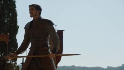 GAME_OF_THRONES_-_E4X08_THE_MOUNTAIN_AND_THE_VIPER_0399.jpg