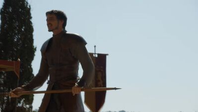 GAME_OF_THRONES_-_E4X08_THE_MOUNTAIN_AND_THE_VIPER_0400.jpg