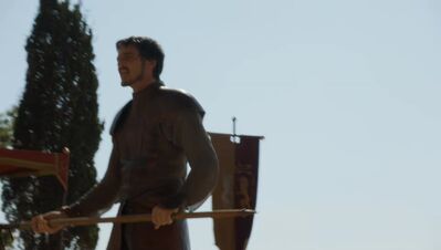 GAME_OF_THRONES_-_E4X08_THE_MOUNTAIN_AND_THE_VIPER_0401.jpg