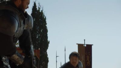 GAME_OF_THRONES_-_E4X08_THE_MOUNTAIN_AND_THE_VIPER_0409.jpg