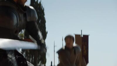 GAME_OF_THRONES_-_E4X08_THE_MOUNTAIN_AND_THE_VIPER_0410.jpg