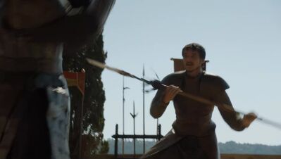 GAME_OF_THRONES_-_E4X08_THE_MOUNTAIN_AND_THE_VIPER_0412.jpg