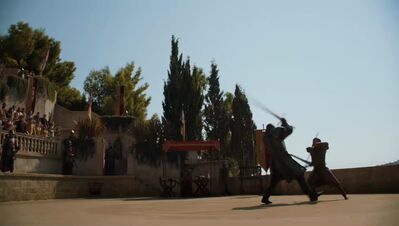 GAME_OF_THRONES_-_E4X08_THE_MOUNTAIN_AND_THE_VIPER_0437.jpg