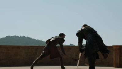 GAME_OF_THRONES_-_E4X08_THE_MOUNTAIN_AND_THE_VIPER_0442.jpg