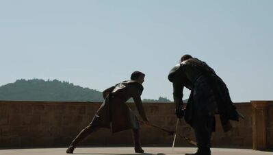 GAME_OF_THRONES_-_E4X08_THE_MOUNTAIN_AND_THE_VIPER_0443.jpg