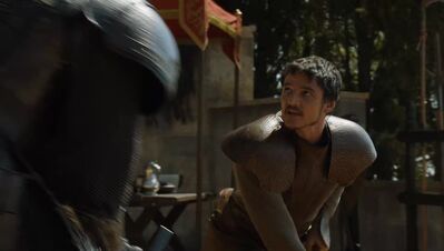GAME_OF_THRONES_-_E4X08_THE_MOUNTAIN_AND_THE_VIPER_0444.jpg