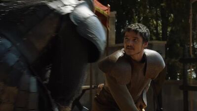 GAME_OF_THRONES_-_E4X08_THE_MOUNTAIN_AND_THE_VIPER_0445.jpg