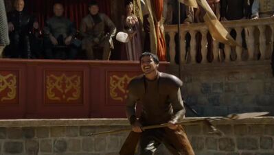 GAME_OF_THRONES_-_E4X08_THE_MOUNTAIN_AND_THE_VIPER_0472.jpg