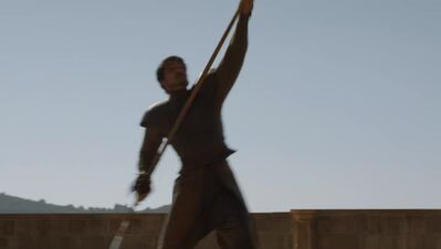 GAME_OF_THRONES_-_E4X08_THE_MOUNTAIN_AND_THE_VIPER_0494.jpg