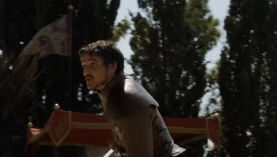 GAME_OF_THRONES_-_E4X08_THE_MOUNTAIN_AND_THE_VIPER_0497.jpg