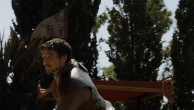 GAME_OF_THRONES_-_E4X08_THE_MOUNTAIN_AND_THE_VIPER_0499.jpg
