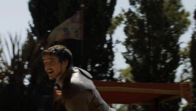 GAME_OF_THRONES_-_E4X08_THE_MOUNTAIN_AND_THE_VIPER_0500.jpg